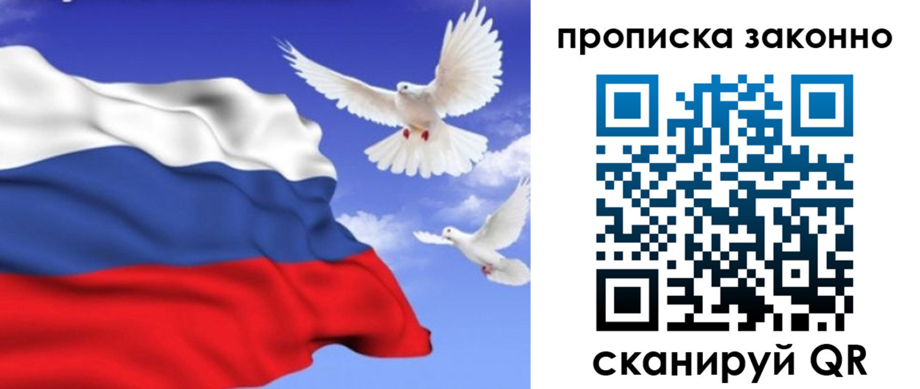 прописка в Переславль-Залесском